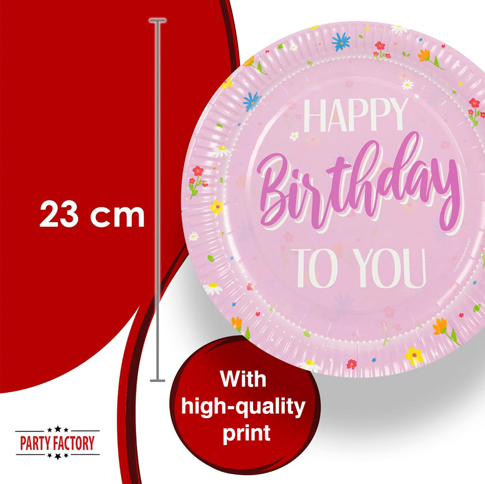 Paper plates Happy Birthday pink 9 in. 8 pack 2